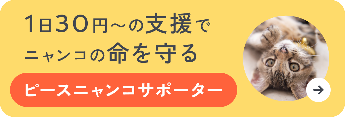 ピースニャンコサポーター決済フォームへの遷移バナーです